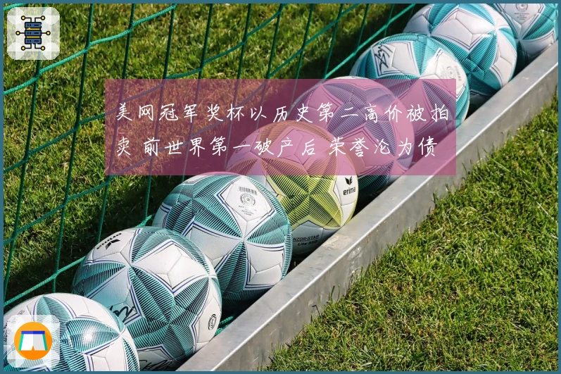 美网冠军奖杯以历史第二高价被拍卖 前世界第一破产后 荣誉沦为债务偿还品