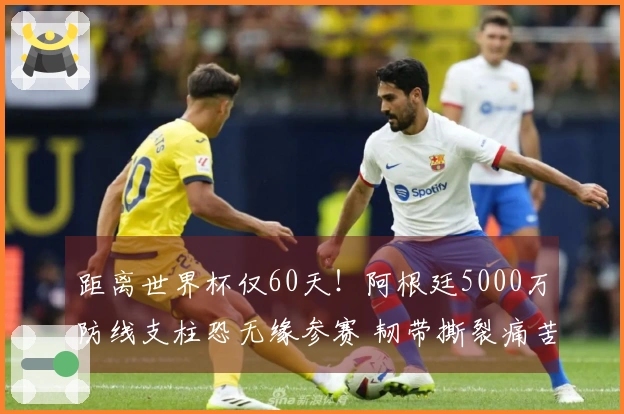 距离世界杯仅60天！阿根廷5000万防线支柱恐无缘参赛 韧带撕裂痛苦退场
