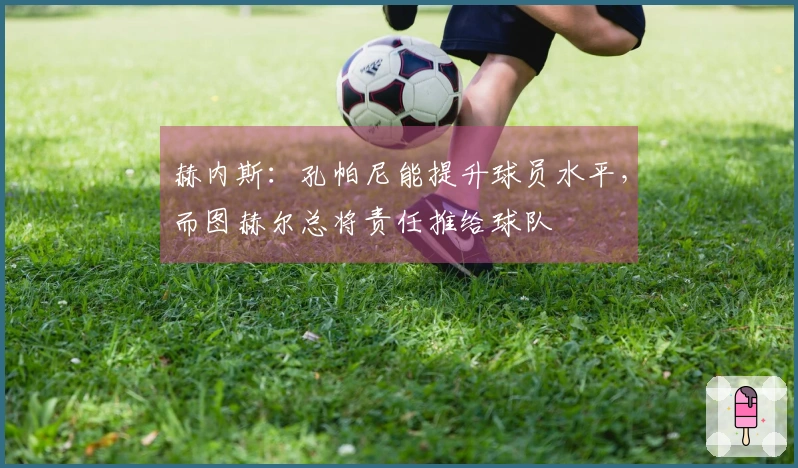赫内斯：孔帕尼能提升球员水平，而图赫尔总将责任推给球队